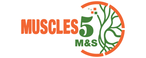muscles5.com
